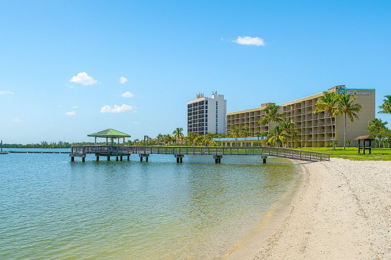 Best Painting pros in Fort Myers, FL