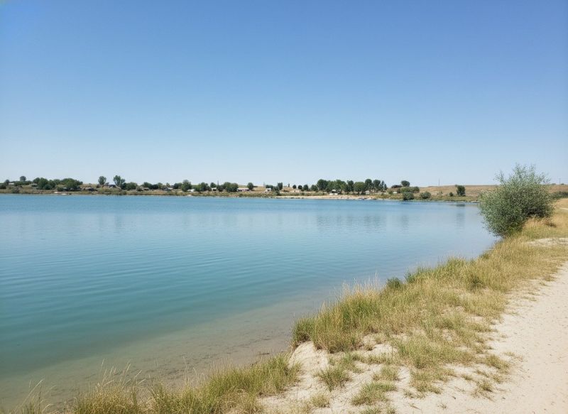 Best Termites pros in Acton, MA