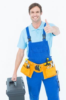 Top Handyman Services Companies in Swanton, OH