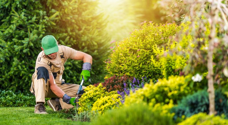Maximizing Curb Appeal And Functionality With Professional Gardening Services For Homeowners