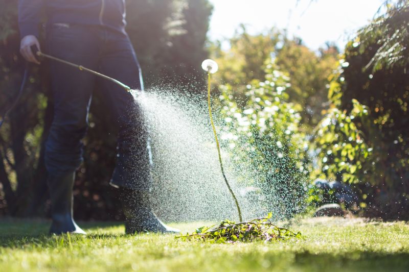 The Benefits Of Professional Garden Installation For A Beautiful And Low-Maintenance Yard