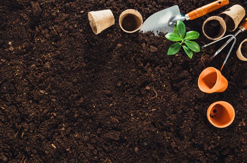 The Benefits Of Professional Garden Installation For A Beautiful And Low-Maintenance Yard