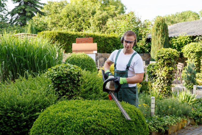 The Benefits Of Professional Garden Installation For A Beautiful And Low-Maintenance Yard