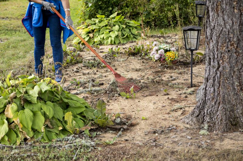 The Benefits Of Professional Garden Installation For A Beautiful And Low-Maintenance Yard