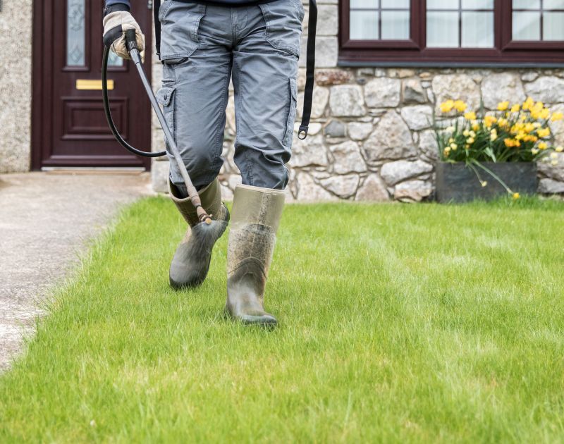 The Benefits Of Professional Garden Installation For A Beautiful And Low-Maintenance Yard