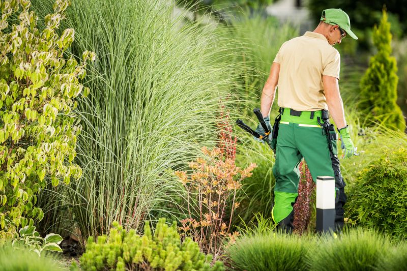 The Benefits Of Professional Landscaping Services For Curb Appeal And Property Value