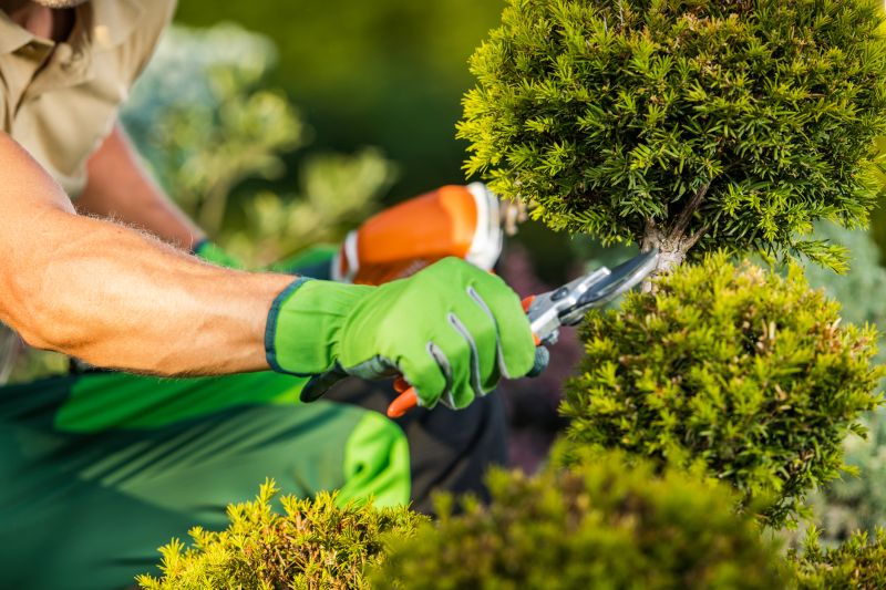 Top Benefits Of Hiring Professional Gardening Services For A Beautiful, Healthy Yard