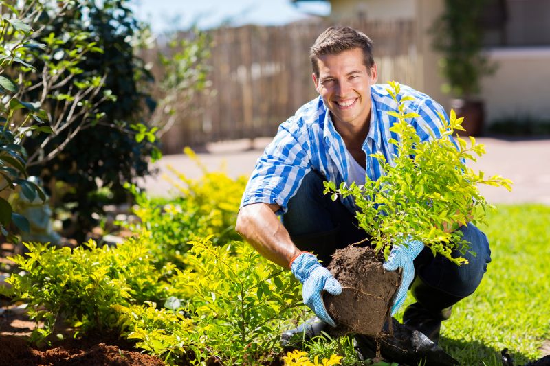 Top Benefits Of Hiring Professional Gardening Services For A Beautiful, Healthy Yard