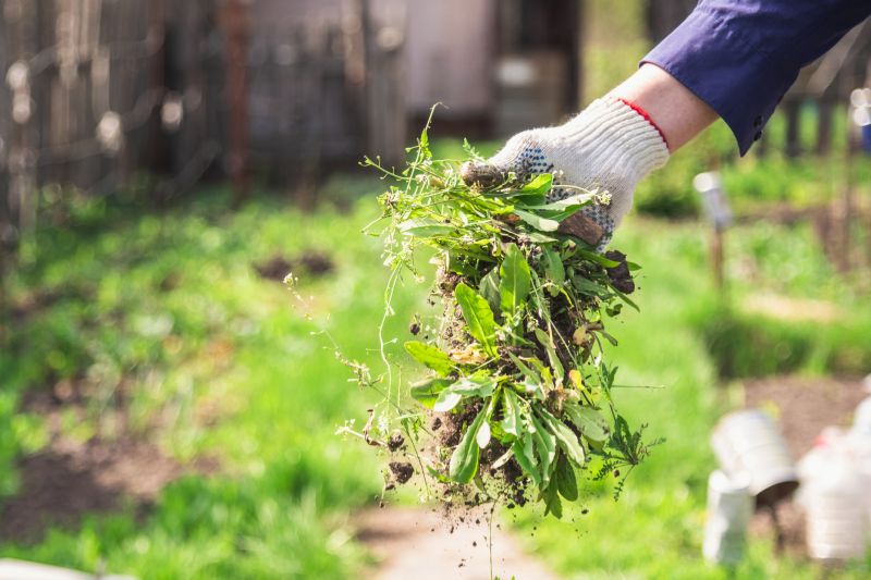 Top Benefits Of Hiring Professional Gardening Services For A Beautiful, Healthy Yard