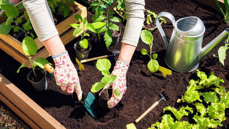 Top Benefits Of Hiring Professional Gardening Services For A Beautiful, Healthy Yard