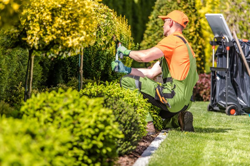 Top Benefits Of Hiring Professional Gardening Services For A Beautiful, Healthy Yard