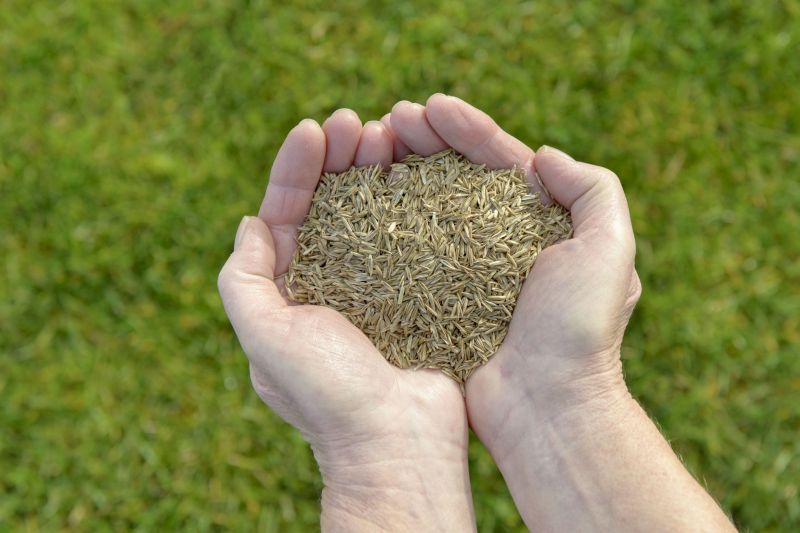 Top Benefits Of Hiring Professional Landscaping Services For Your Home