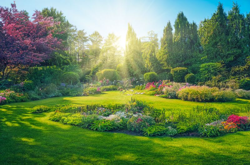 Top Benefits Of Hiring Professional Landscaping Services For Your Home