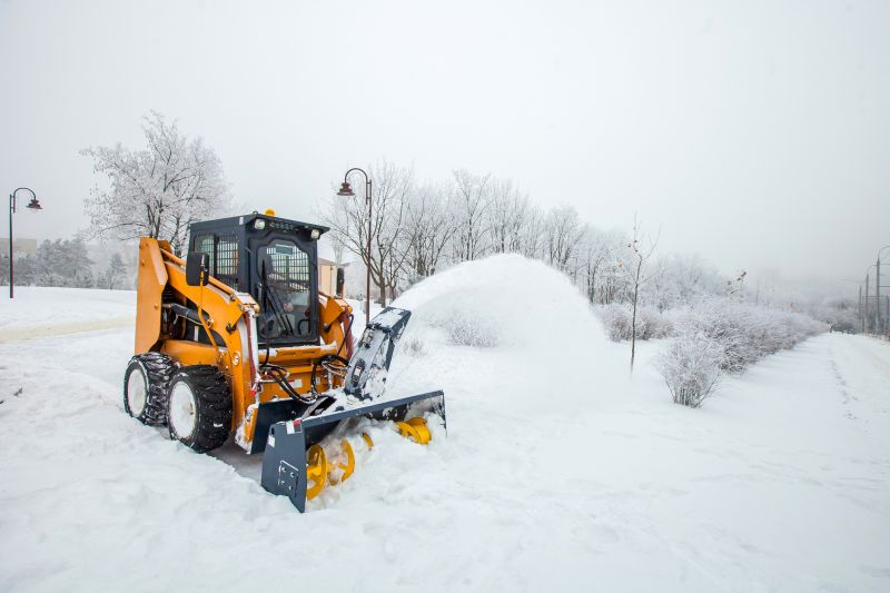 Top Benefits Of Professional Driveway Plowing Services For Safe Winter Access