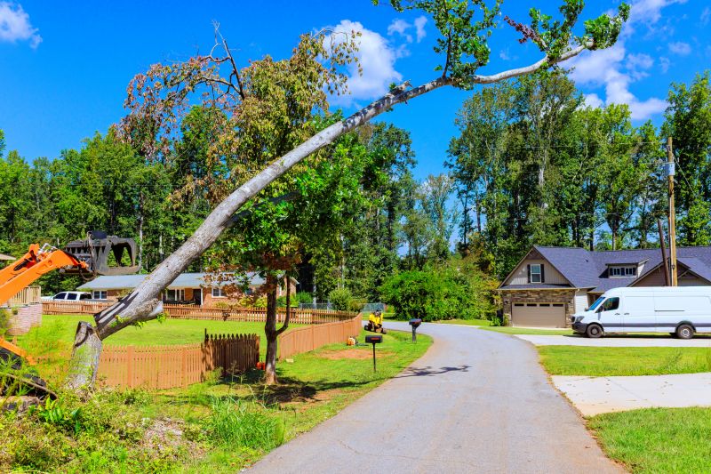 Understanding When To Call Professional Fallen Tree Removal Services To Protect Your Property